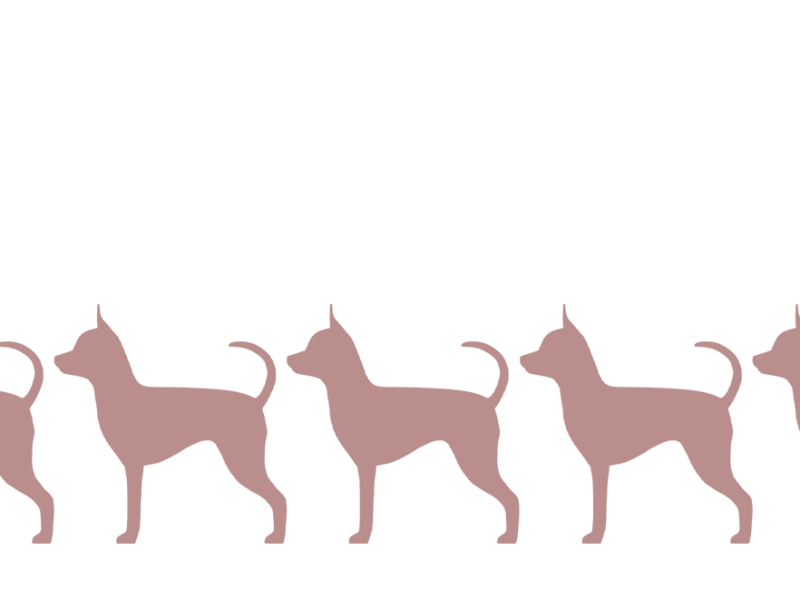 Sukusiitos ja geneettinen monimuotoisuus vastuullisessa koiranjalostuksessa