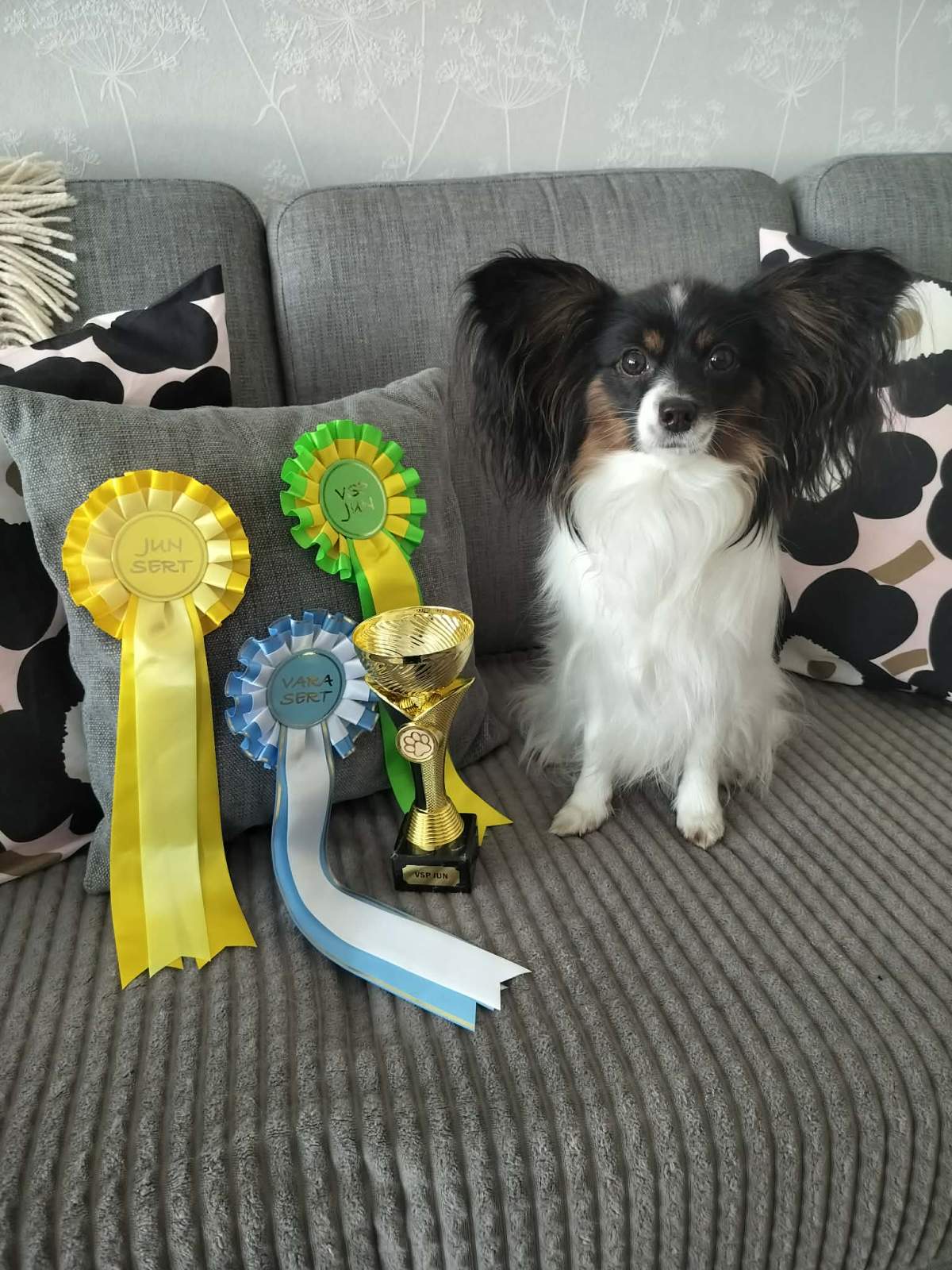 Leppävirta rn ja Vuoden&nbsp;Näyttelypentu